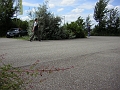 bild (13)